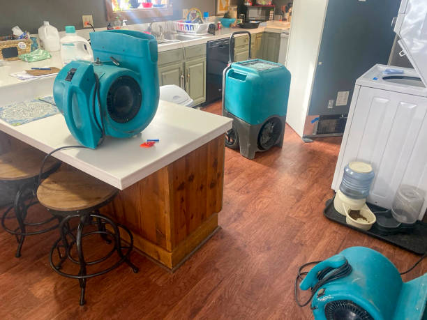 Best Basement water damage restoration  in Oconomowoc, WI