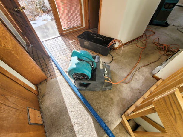 Best Local water damage restoration  in Oconomowoc, WI