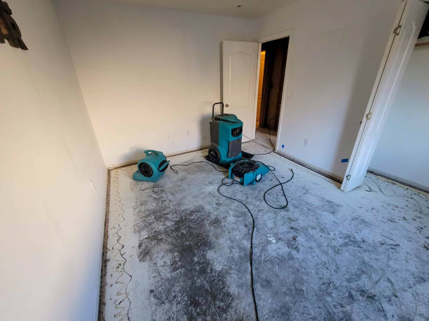 Best Professional water damage repair  in Oconomowoc, WI
