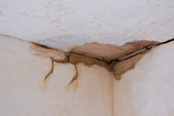 Best Sewage cleanup and water damage restoration  in Oconomowoc, WI