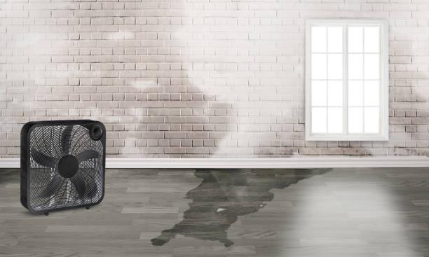 Best Emergency water damage restoration  in Oconomowoc, WI