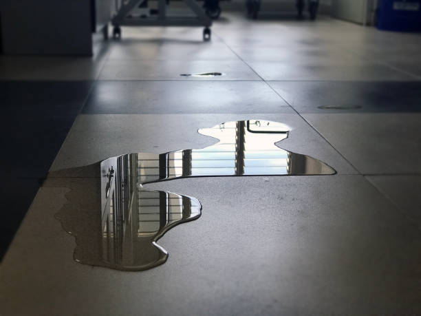 Best Water damage restoration specialists  in Oconomowoc, WI