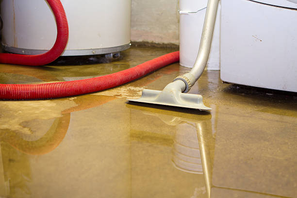 Best Water damage restoration process  in Oconomowoc, WI
