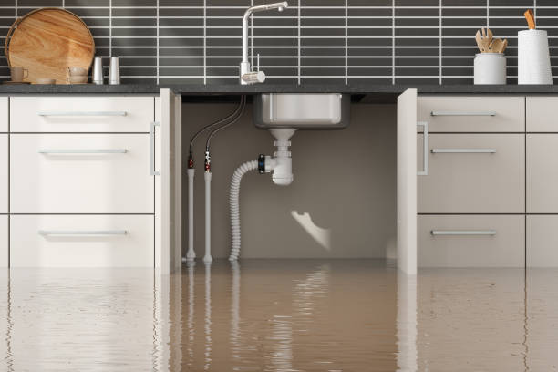 Best Flood restoration services  in Oconomowoc, WI