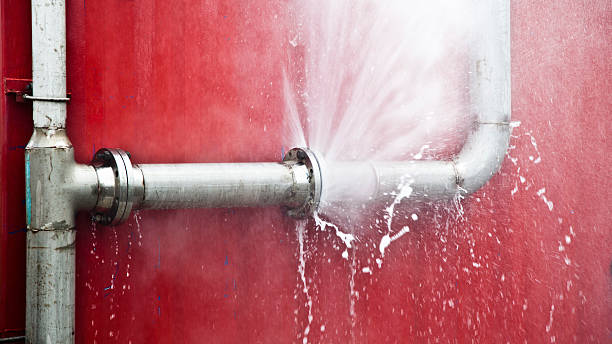 Best Mold removal after water damage  in Oconomowoc, WI