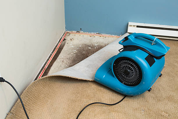Best Water damage cleanup near me  in Oconomowoc, WI